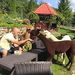 Agroalpaka Mazury