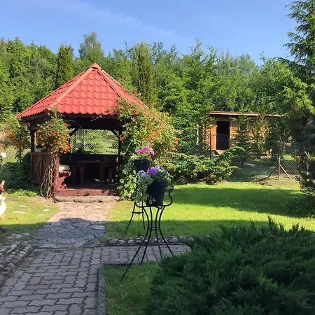 Z Alpakami Mazury *