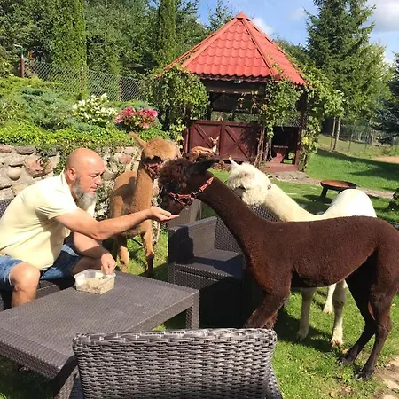 Agroalpaka Mazury