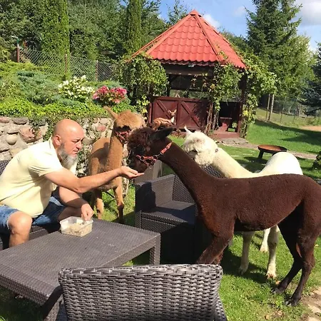 Z Alpakami Mazury