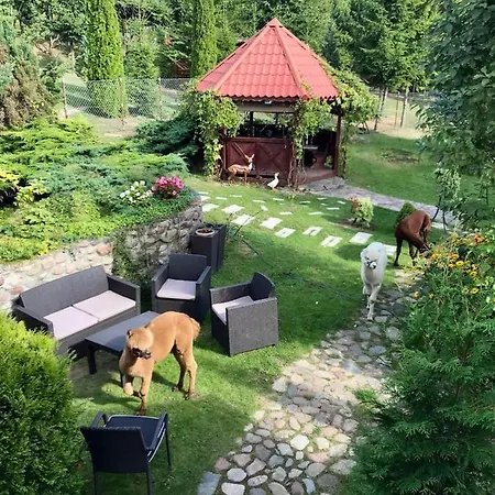 Z Alpakami Mazury *