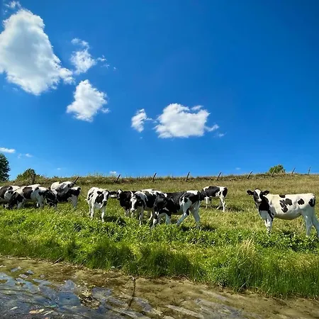 Agroalpaka Mazury Farm stay *