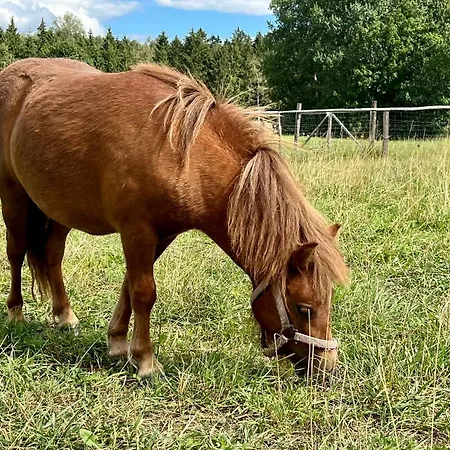 Vakantieboerderij Agroalpaka Mazury Mrągowo